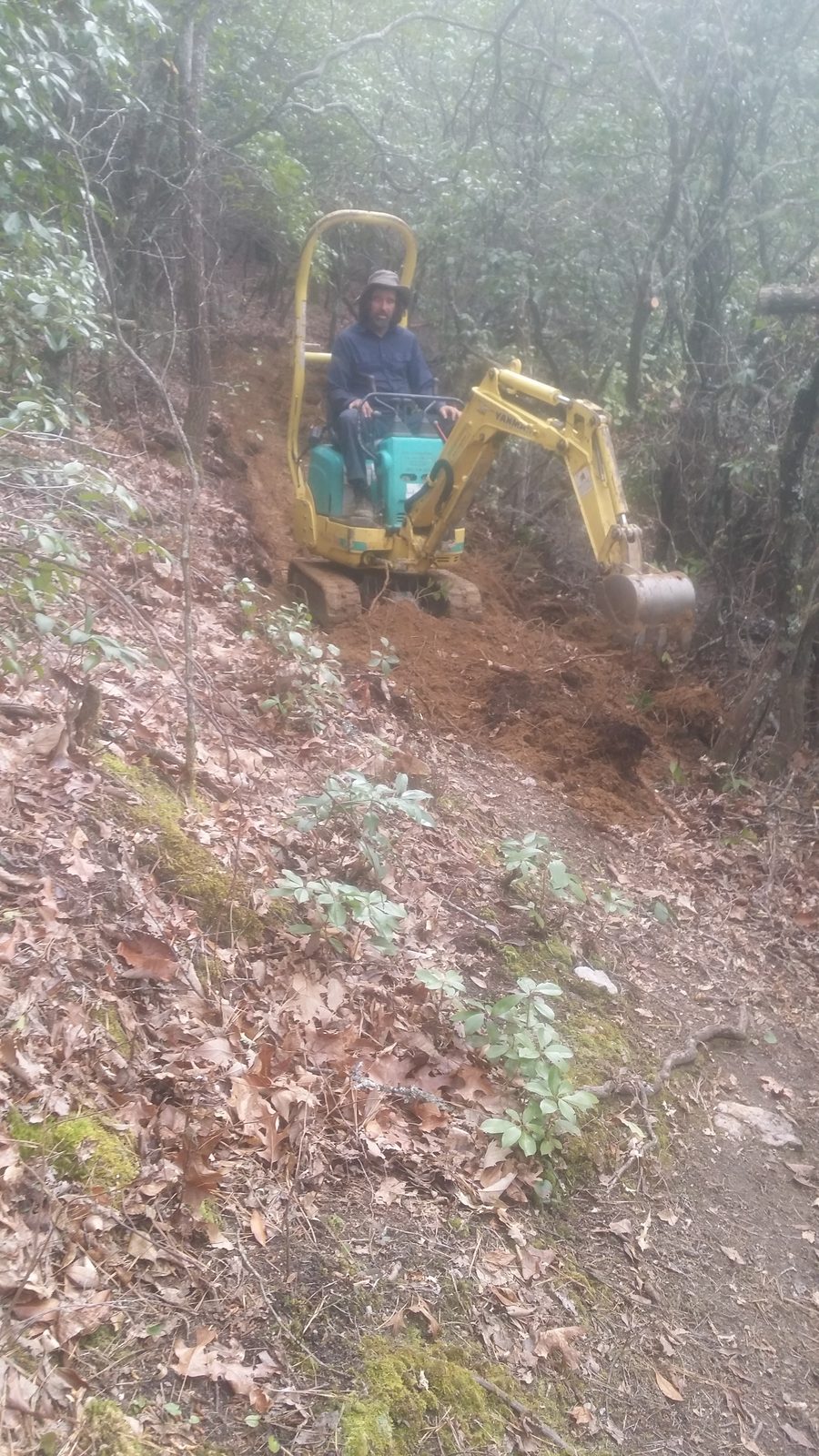 Bartram Trail construction NC