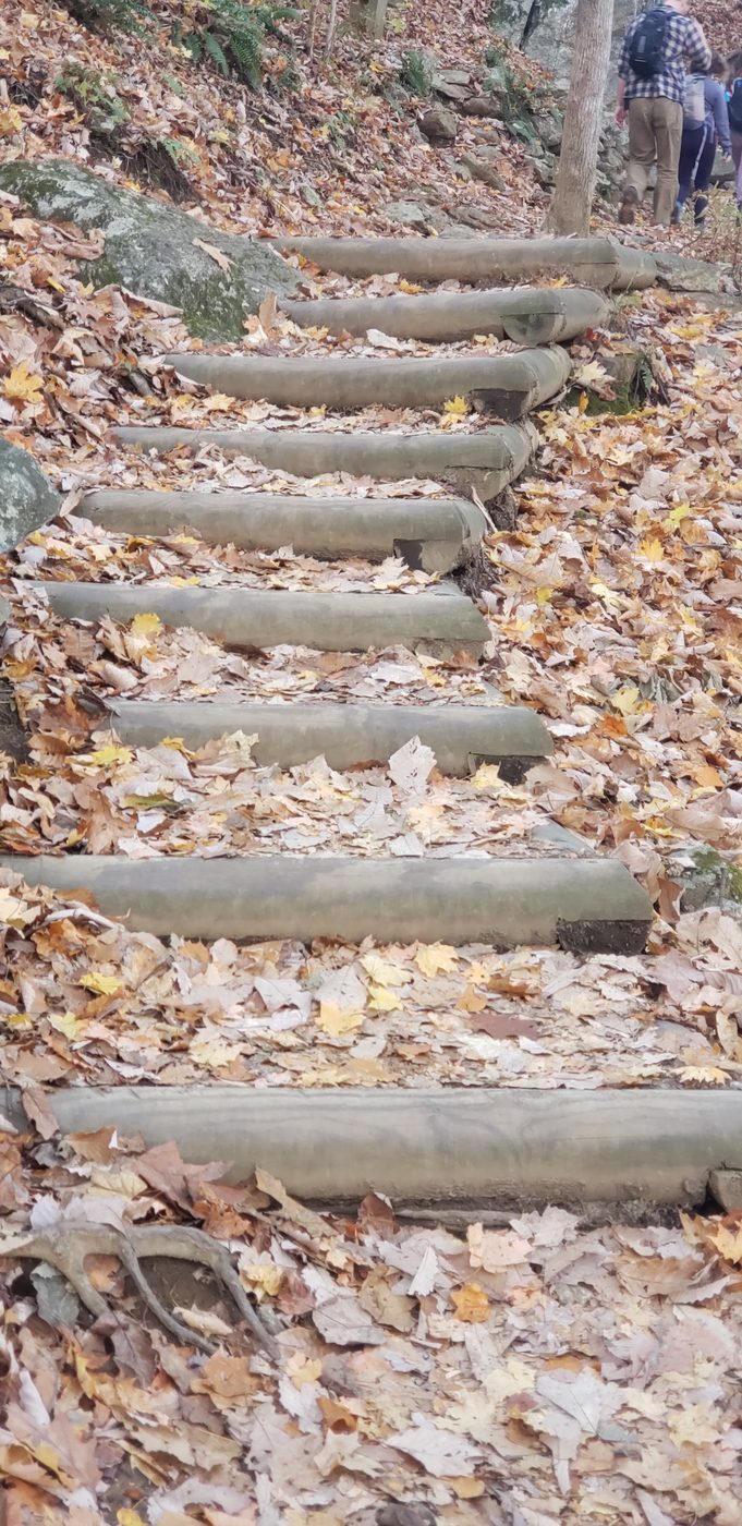 Crabtree Falls crib steps in fall foliage